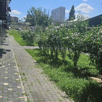 Сдается Нежилое помещение, 37 м²