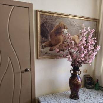 Сдается Комната, 29 м²
