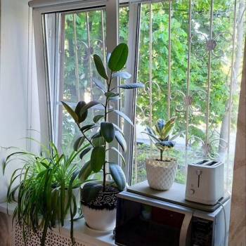 Продается 2-х комнатная квартира, 50 м²