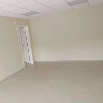 Сдается Нежилое помещение, 250 м²