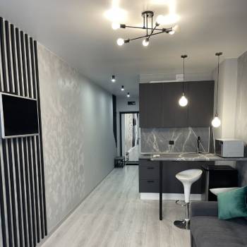 Сдается 1-комнатная квартира, 27 м²