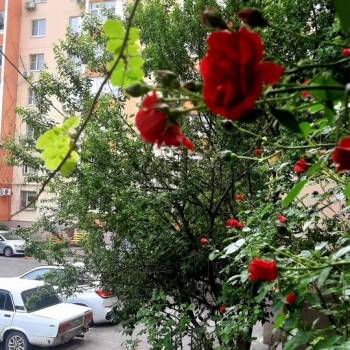 Сдается 1-комнатная квартира, 41 м²