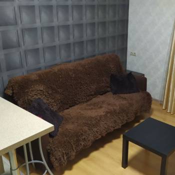 Сдается 1-комнатная квартира, 24 м²