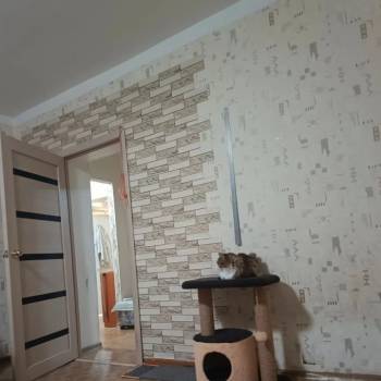 Сдается Многокомнатная квартира, 63 м²