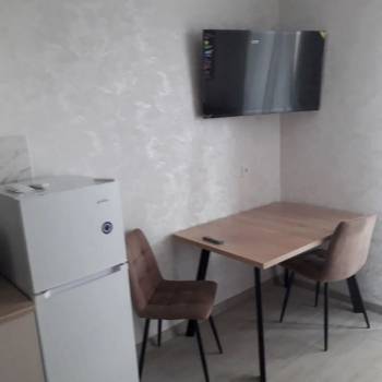 Сдается 1-комнатная квартира, 24,2 м²