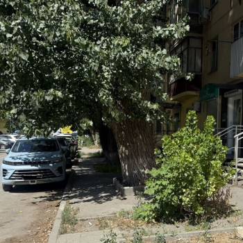 Сдается Нежилое помещение, 23,6 м²
