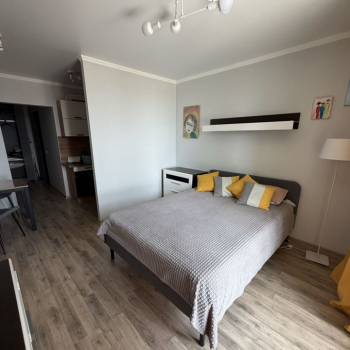 Продается 1-комнатная квартира, 26,5 м²