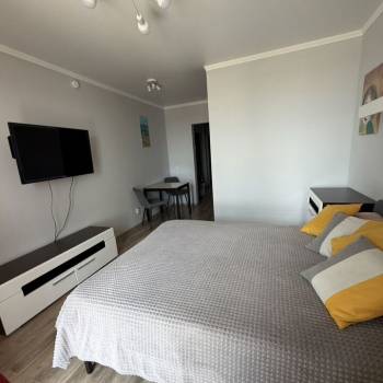 Продается 1-комнатная квартира, 26,5 м²
