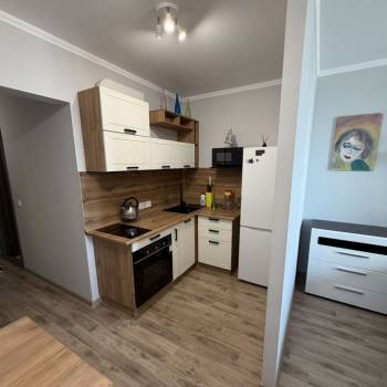 Продается 1-комнатная квартира, 26,5 м²