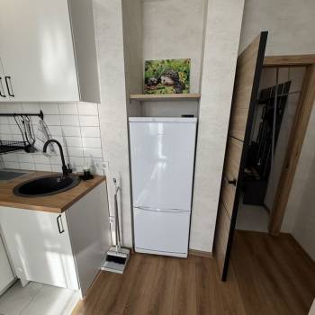 Сдается 1-комнатная квартира, 21,7 м²