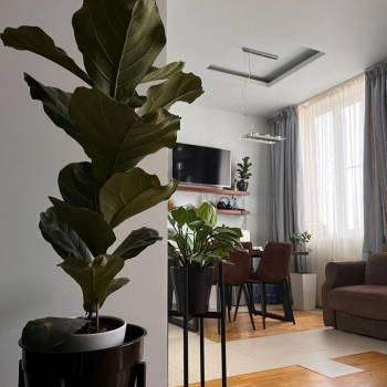Сдается 2-х комнатная квартира, 108,5 м²