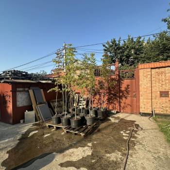 Продается Участок, 230 м²
