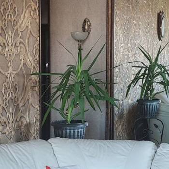 Продается 3-х комнатная квартира, 84 м²
