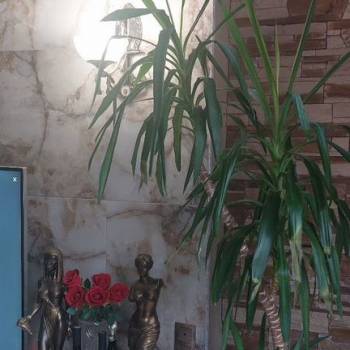 Продается 3-х комнатная квартира, 84 м²