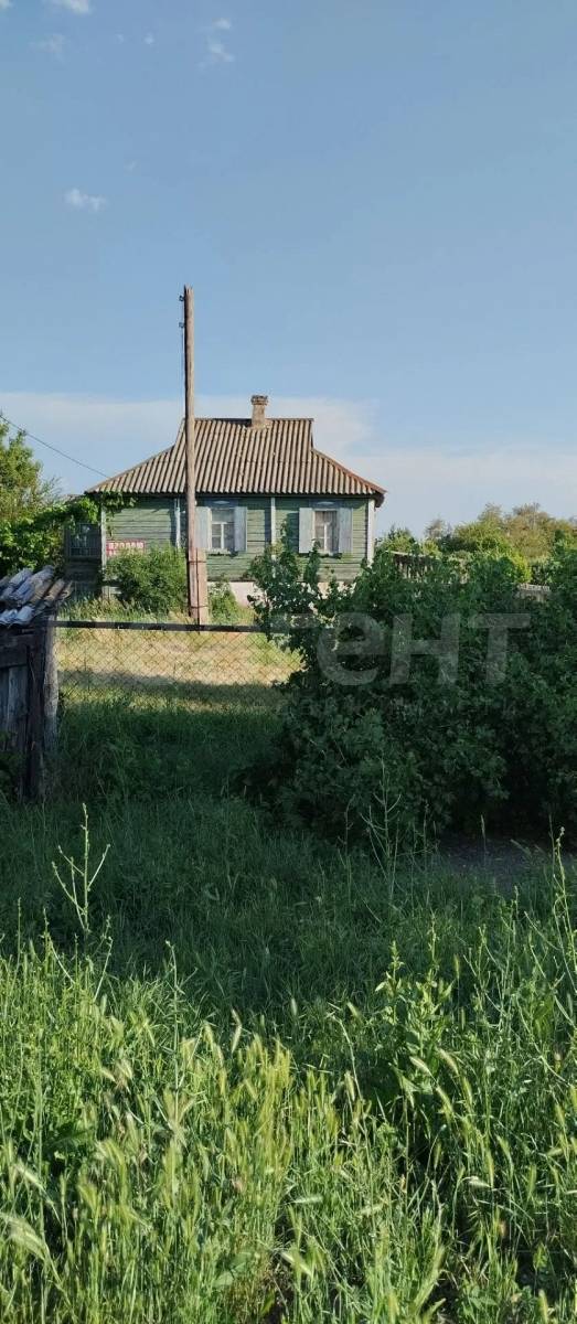 Фотография №5