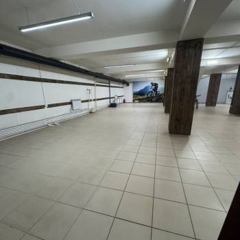 Сдается Нежилое помещение, 240,7 м²