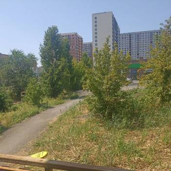 Продается 1-комнатная квартира, 24,6 м²
