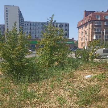 Продается 1-комнатная квартира, 24,6 м²