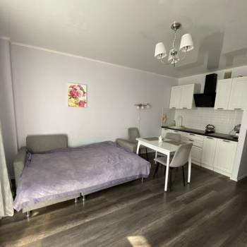 Сдается 1-комнатная квартира, 25,7 м²