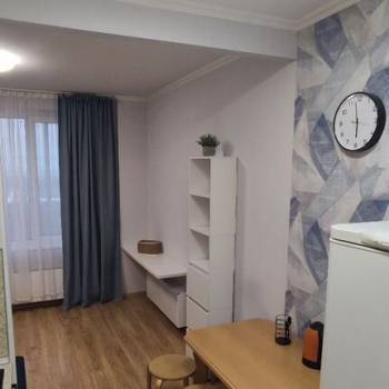 Сдается 1-комнатная квартира, 24,3 м²