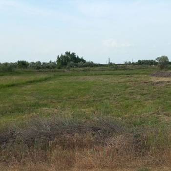 Продается Участок, 1000 м²