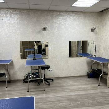 Продается Нежилое помещение, 41,7 м²