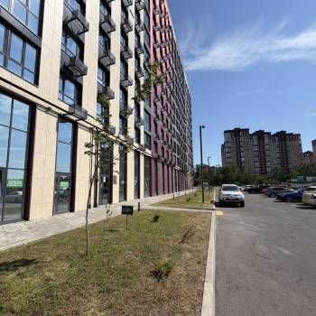 Сдается Нежилое помещение, 56 м²