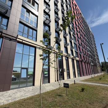 Сдается Нежилое помещение, 56 м²