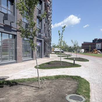 Сдается Нежилое помещение, 77 м²