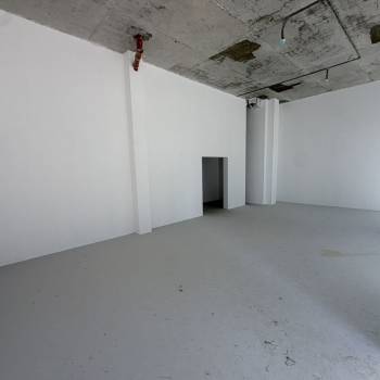 Сдается Нежилое помещение, 77 м²