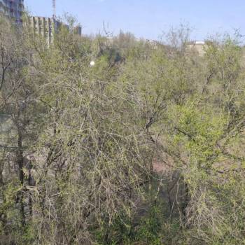 Продается 1-комнатная квартира, 30,9 м²