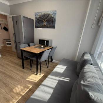 Сдается 1-комнатная квартира, 32,7 м²