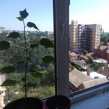 Сдается 1-комнатная квартира, 37 м²