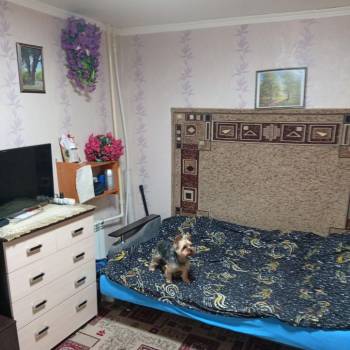 Продается 1-комнатная квартира, 21,7 м²