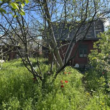 Продается Участок, 600 м²
