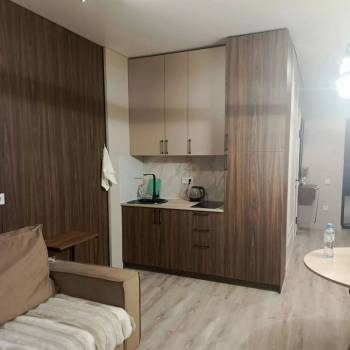 Сдается 1-комнатная квартира, 23,5 м²