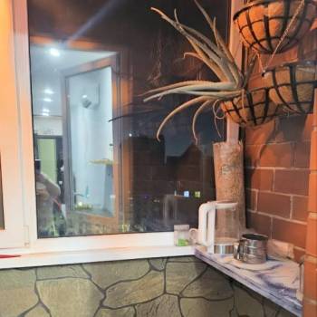 Сдается 1-комнатная квартира, 29 м²