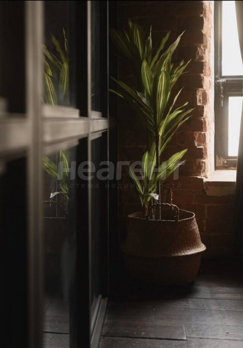 Фотография №5