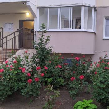 Сдается 1-комнатная квартира, 37 м²