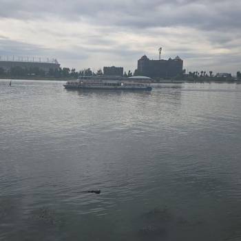 Продается Участок, 10000 м²