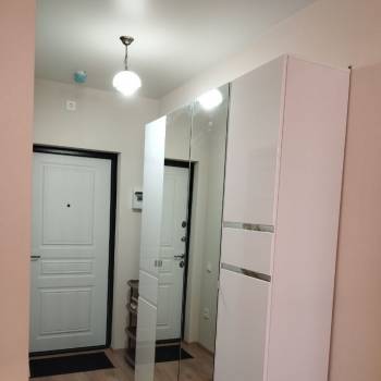 Сдается 1-комнатная квартира, 24,2 м²