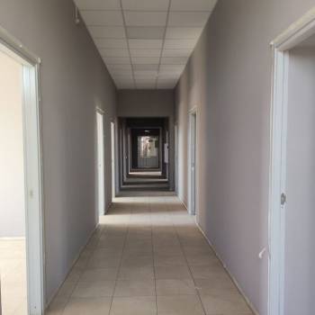 Сдается Офис, 258,2 м²