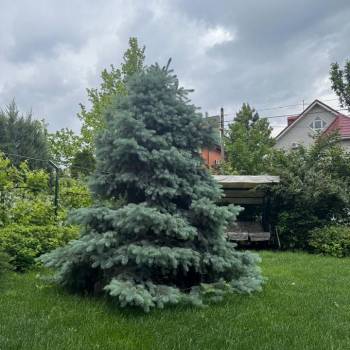 Продается Дом, 114 м²