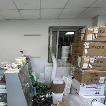 Сдается Нежилое помещение, 36 м²