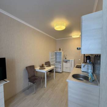 Сдается 1-комнатная квартира, 24,4 м²