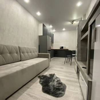 Продается 1-комнатная квартира, 24,6 м²