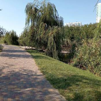Сдается 1-комнатная квартира, 27,78 м²