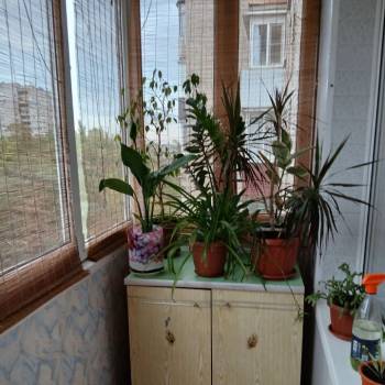 Продается 3-х комнатная квартира, 59,6 м²