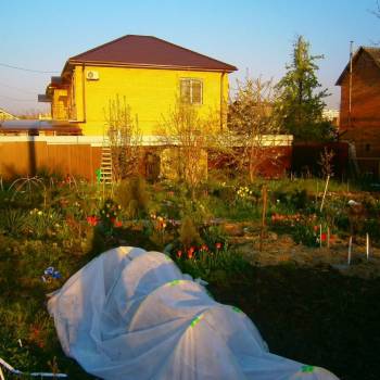 Продается Участок, 1000 м²