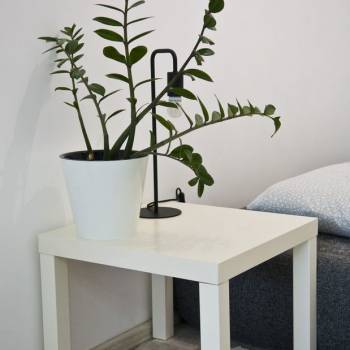 Сдается 1-комнатная квартира, 50 м²